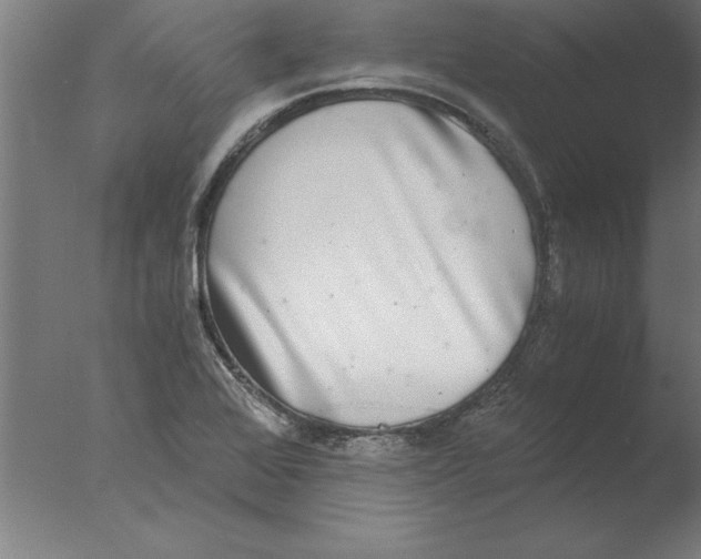 X0000076091368200610202055