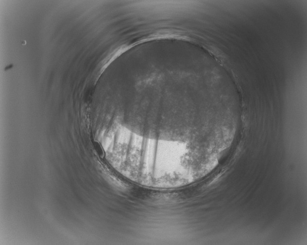 X0000076091369200610202055