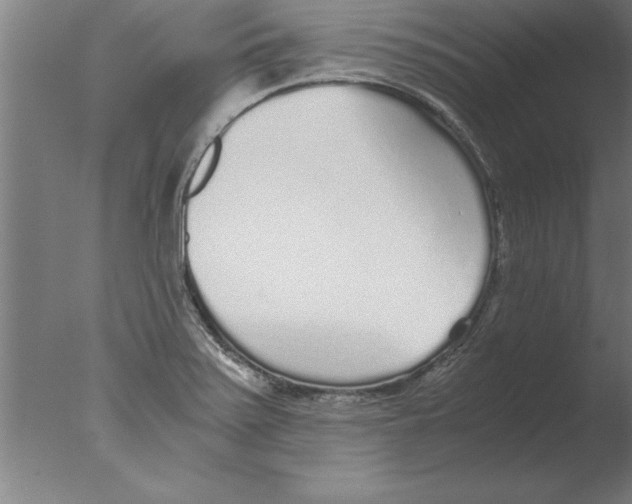 X0000076091371200610202055