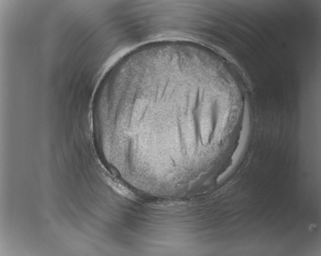 X0000076091372200610202055