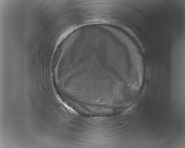 X0000076091373200610202055