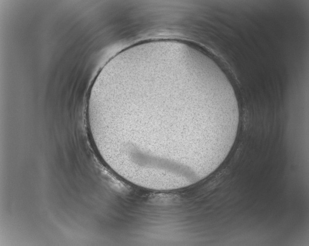 X0000076091374200610202055