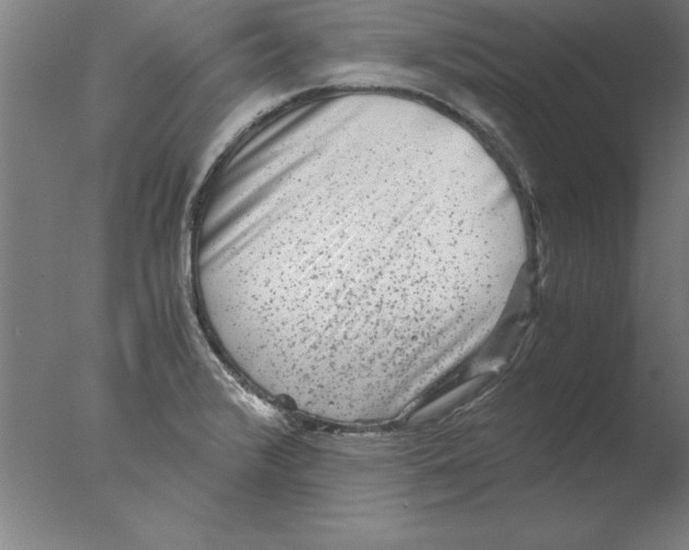 X0000076091376200610202055