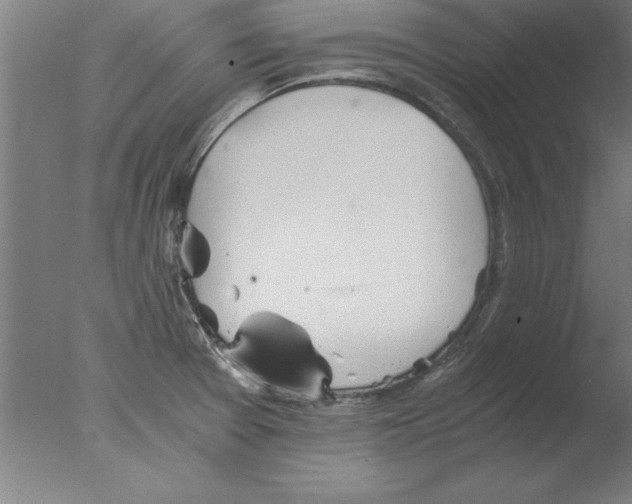 X0000076091377200610202055