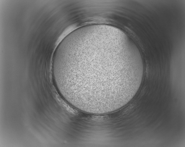 X0000076091378200610202055