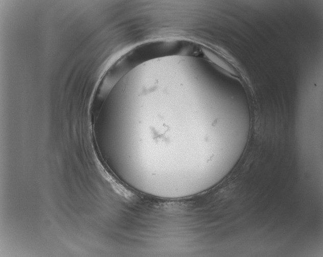 X0000076091380200610202055