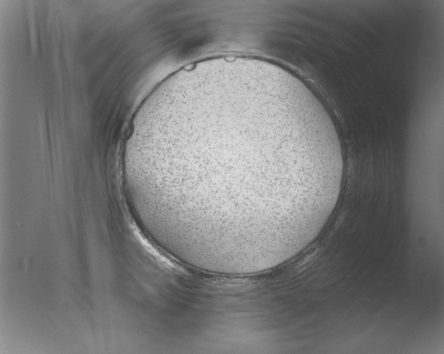 X0000076091382200610202055