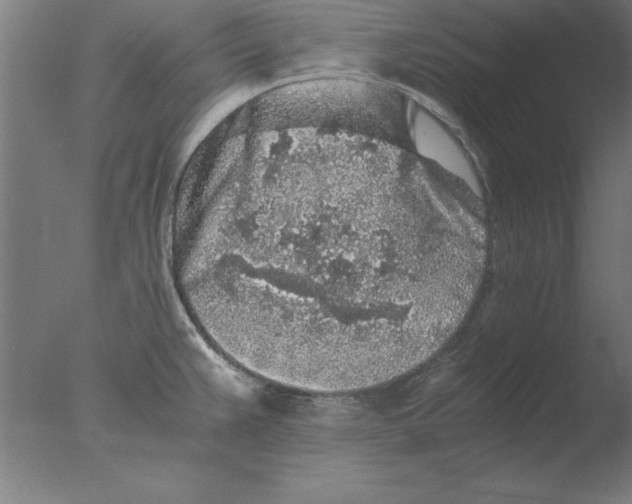 X0000076091383200610202055