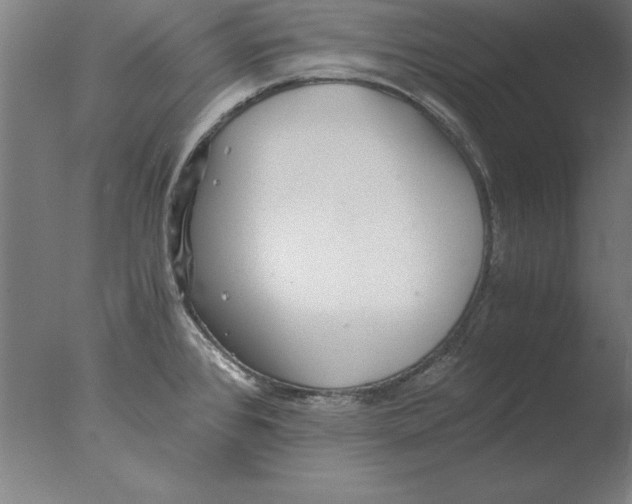 X0000076091384200610202055