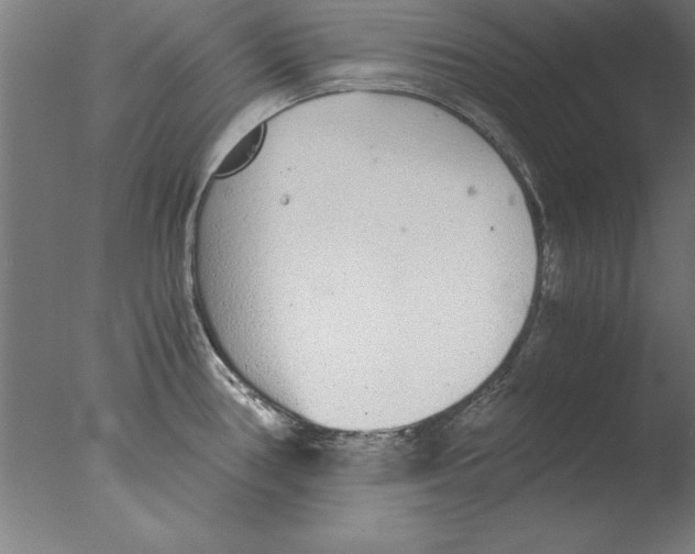 X0000076091386200610202055