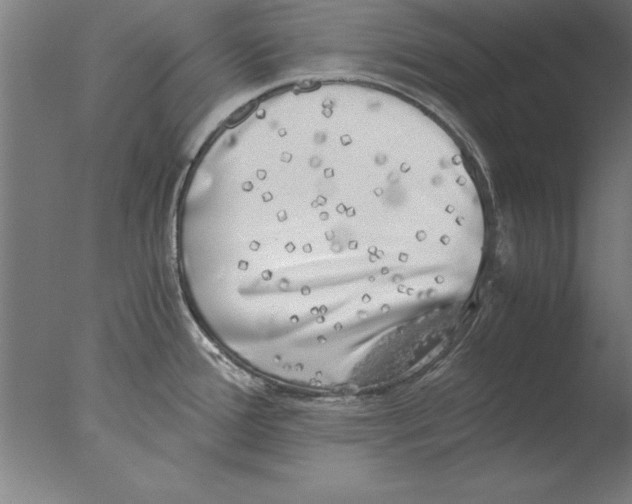 X0000076091388200610202055