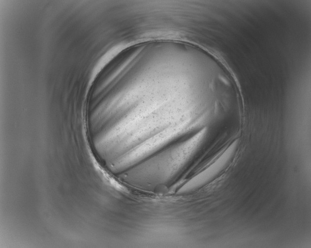 X0000076091389200610202055