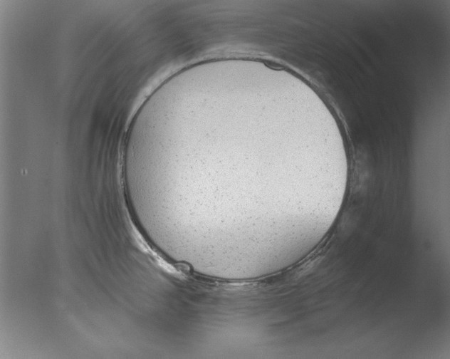 X0000076091390200610202055