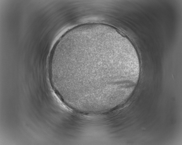 X0000076091392200610202055