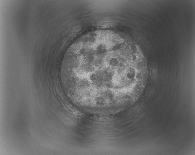 X0000076091393200610202054