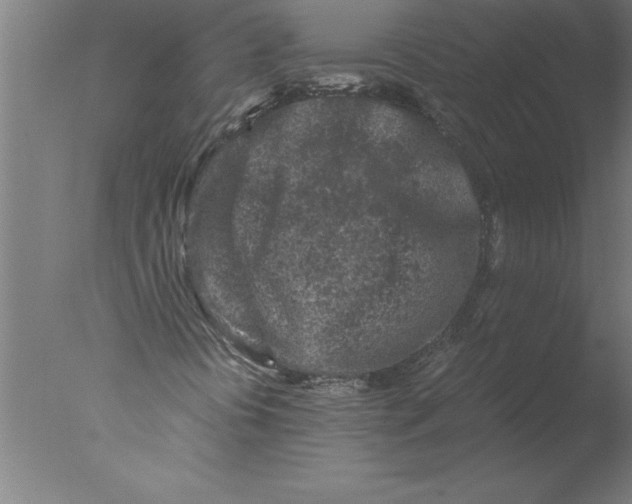 X0000076091394200610202054