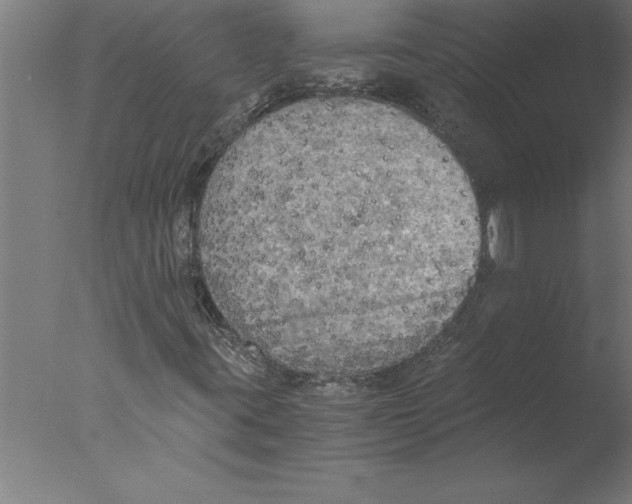 X0000076091395200610202054