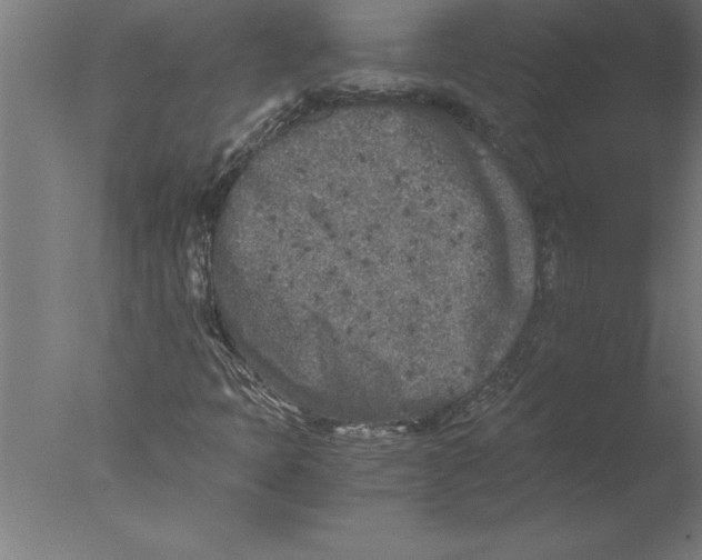 X0000076091397200610202054