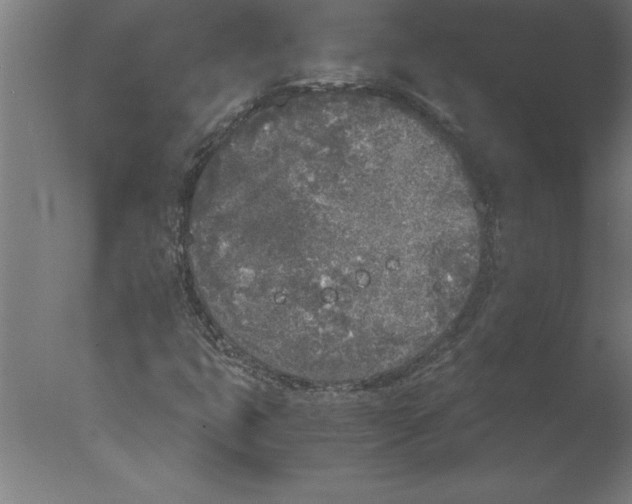 X0000076091399200610202054