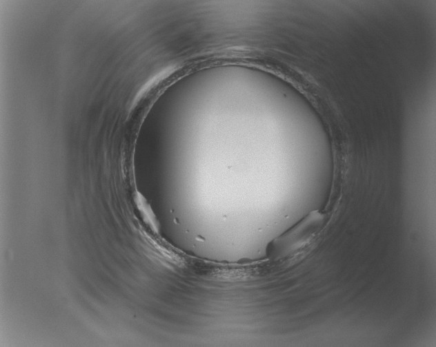 X0000076091402200610202054