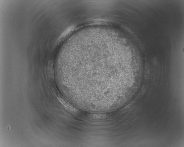 X0000076091403200610202054