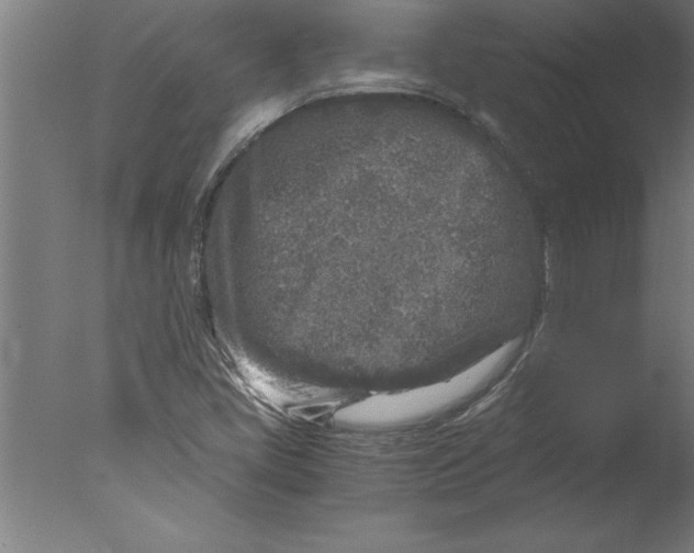 X0000076091405200610202054