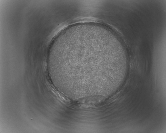 X0000076091407200610202054