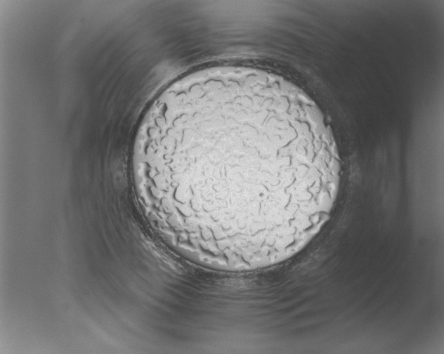 X0000076091409200610202054