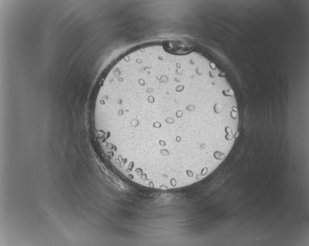 X0000076091412200610202054