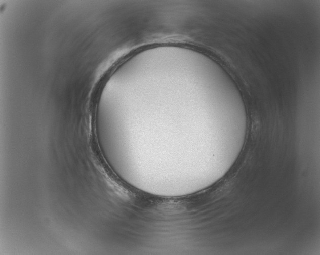 X0000076091414200610202054