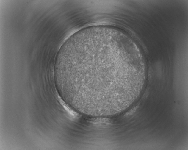 X0000076091417200610202054