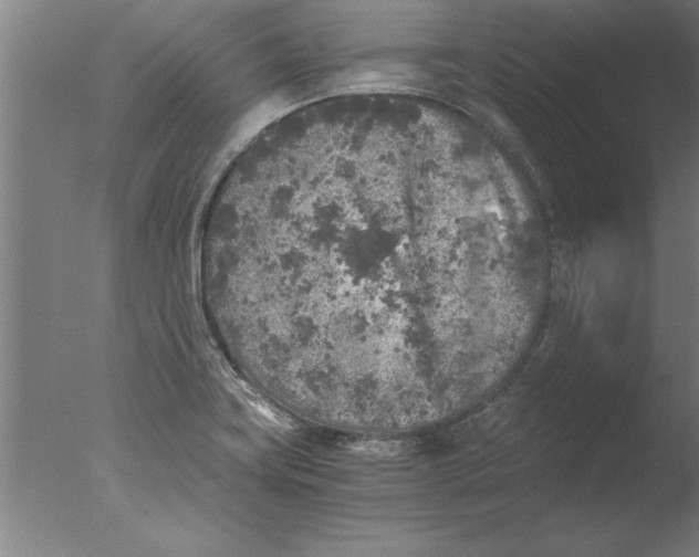 X0000076091419200610202054