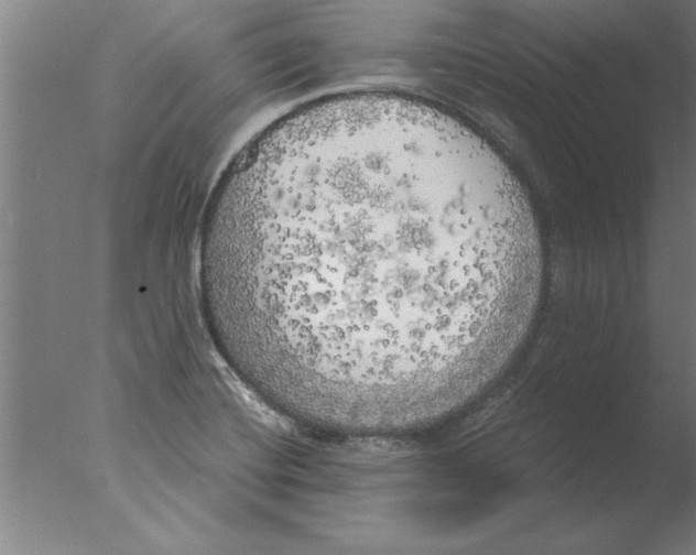 X0000076091420200610202054