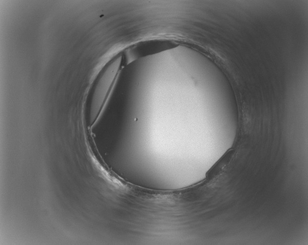 X0000076091422200610202054