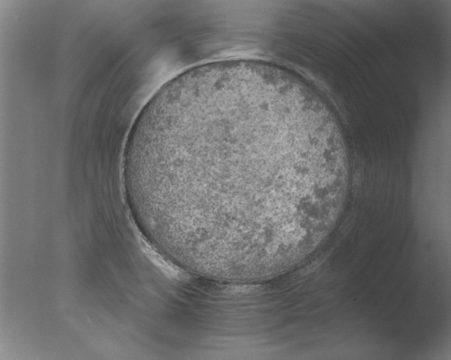 X0000076091423200610202054