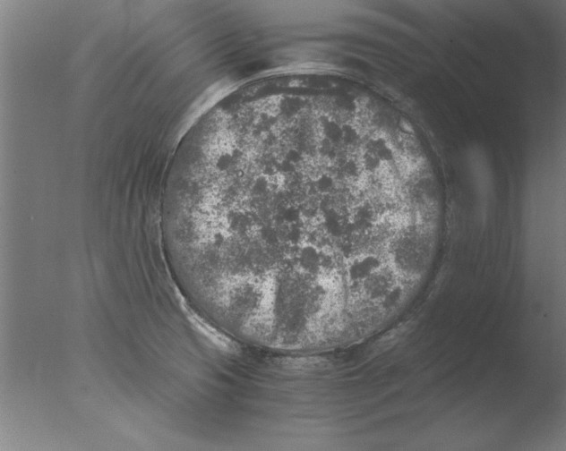 X0000076091425200610202054