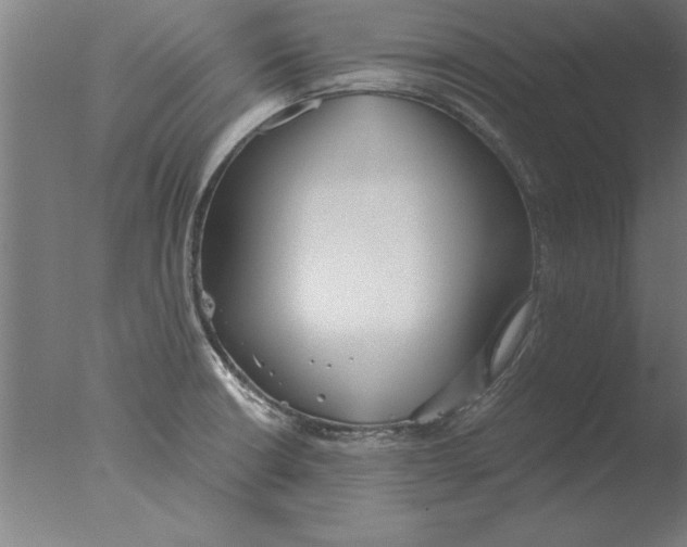 X0000076091426200610202054