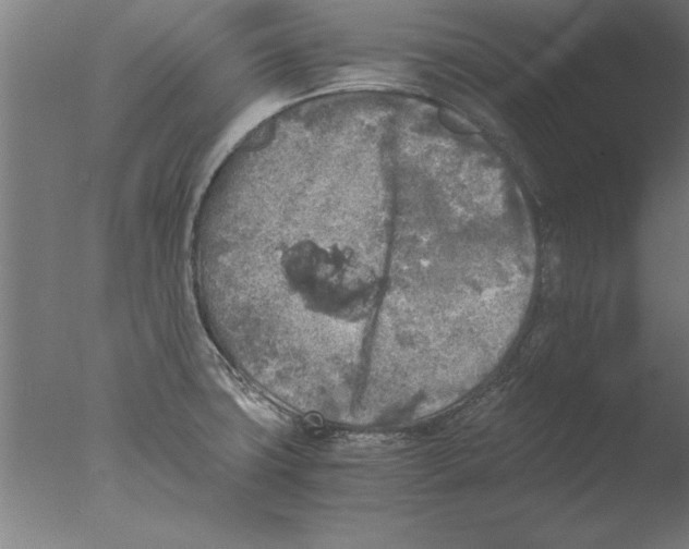 X0000076091427200610202054