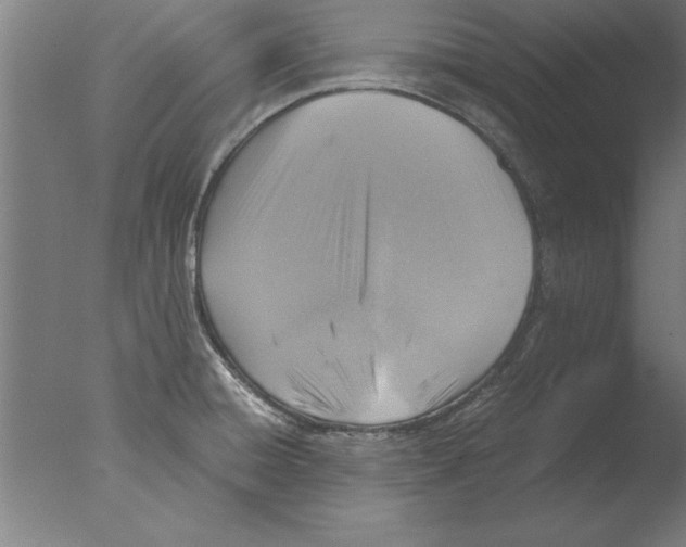 X0000076091428200610202054