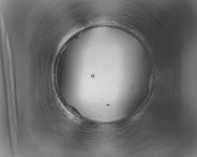 X0000076091430200610202054