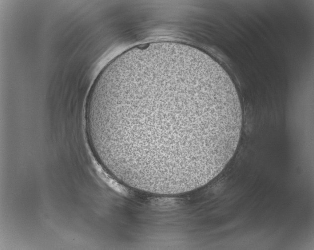 X0000076091431200610202054