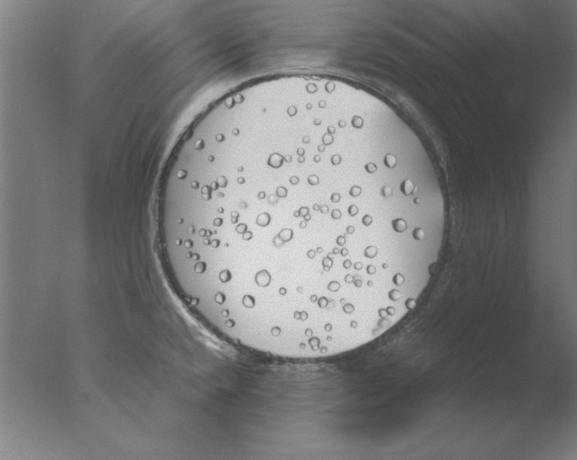 X0000076091432200610202054