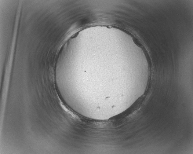 X0000076091433200610202055