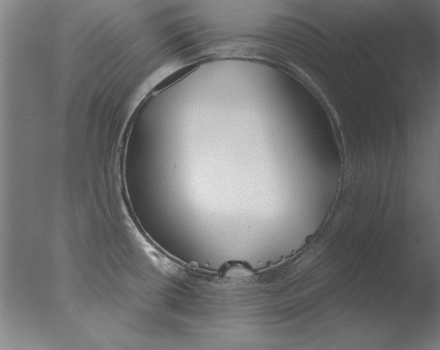 X0000076091434200610202055