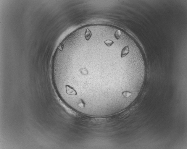 X0000076091437200610202055