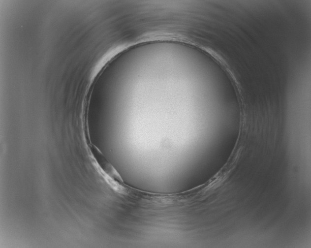 X0000076091438200610202055