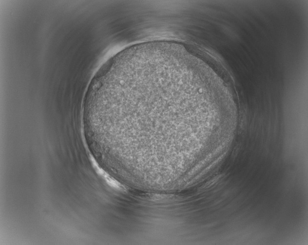 X0000076091439200610202055