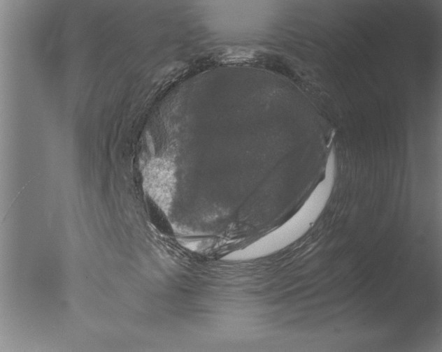 X0000076091441200610202054