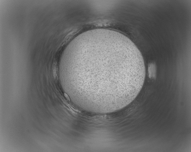 X0000076091444200610202054