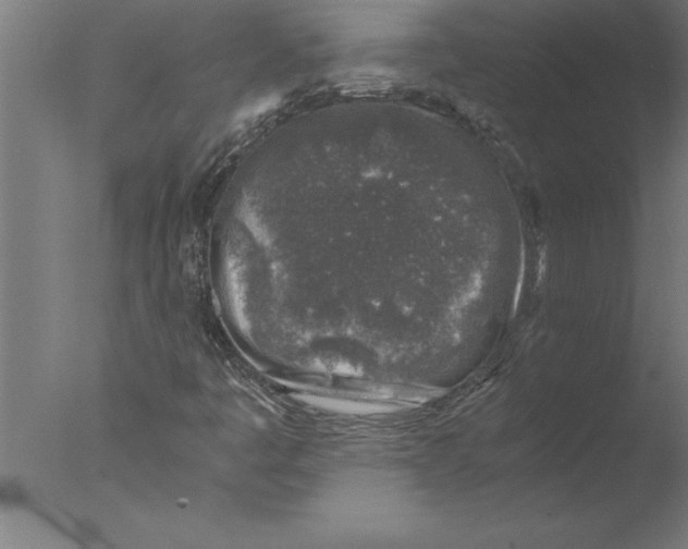 X0000076091445200610202054